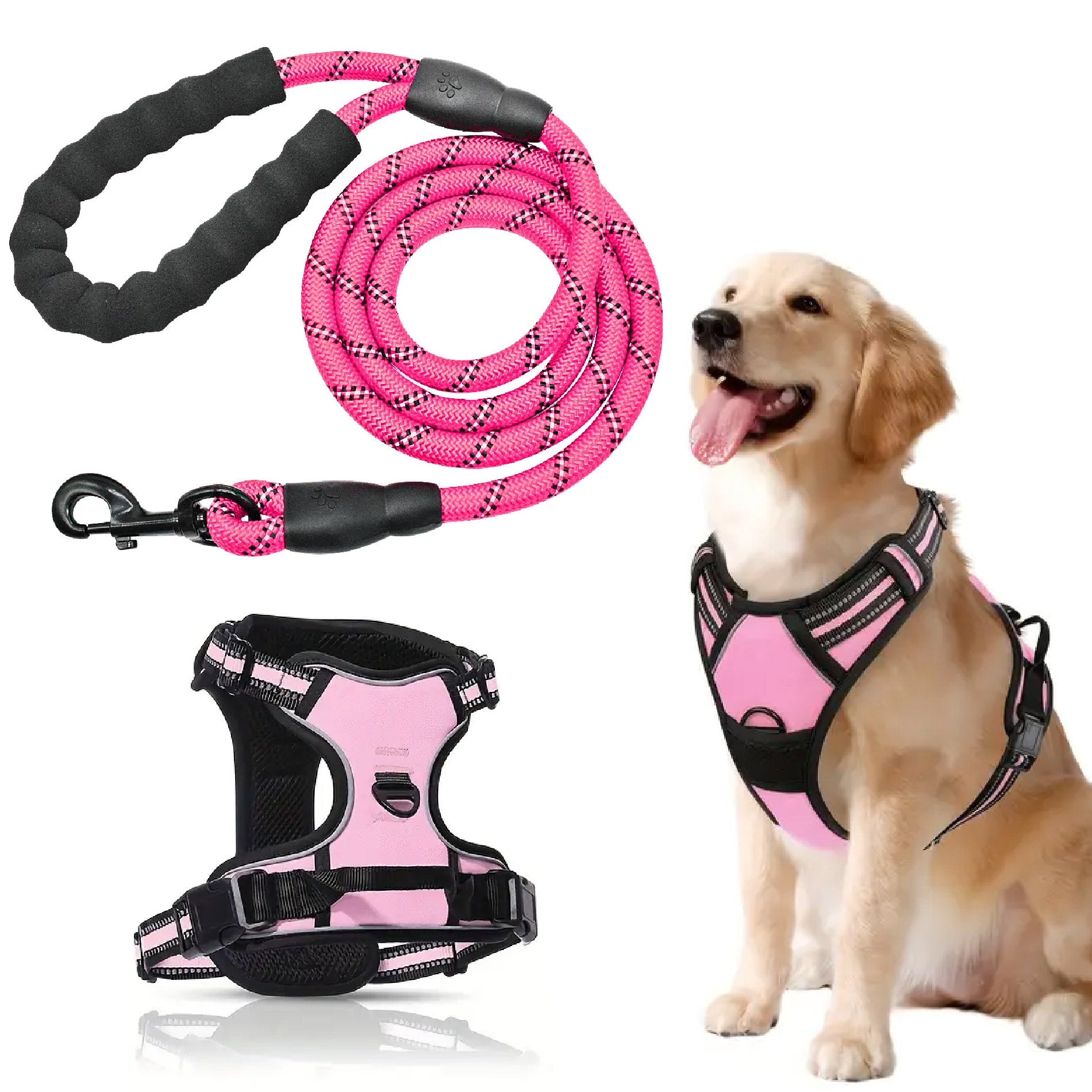 PetPerfect Collares y Correas para Perros - Comodidad y fiabilidad