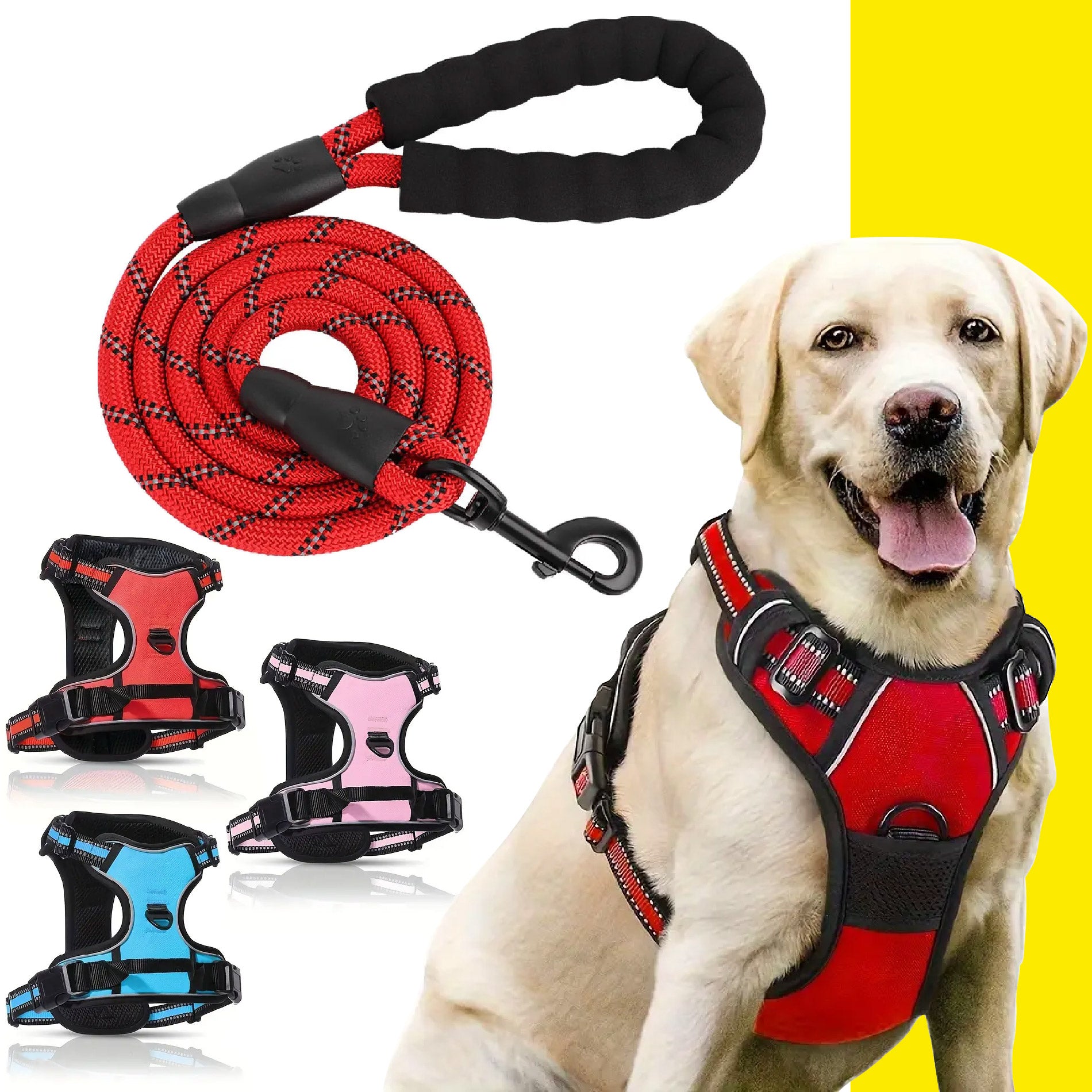 PetPerfect Collares y Correas para Perros - Comodidad y fiabilidad